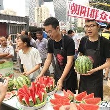 朝阳吃瓜网,揭秘娱乐圈最新热点，带你领略明星幕后故事